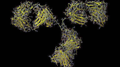 New data demonstrate Monoclonal Antibody Characterisation using versatile SEC-MALS Instrument