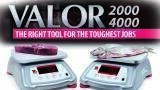 Compact Bench Scales Ideal for Harsh and Wet Environment Food Processing Applications