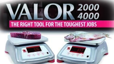 Compact Bench Scales Ideal for Harsh and Wet Environment Food Processing Applications