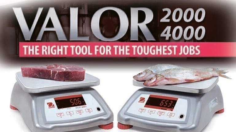 Compact Bench Scales Ideal for Harsh and Wet Environment Food ...