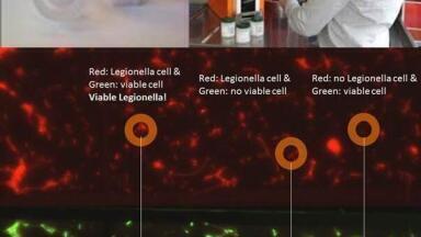 Innovative Platform allows a 90 minutes Legionella test including Total Count