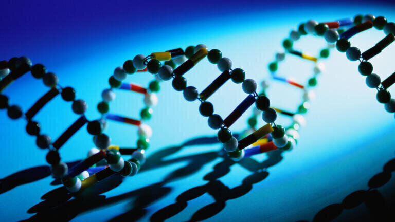 Understanding the Difference between Nucleus and Mitochondrial DNA