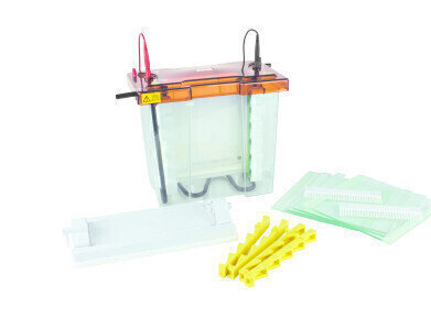 New Maxi Z™ Electrophoresis System   Fast Set up, Max. Capacity  
