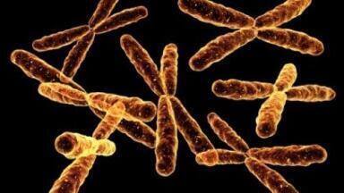 Newborn babies to be tested for rare diseases