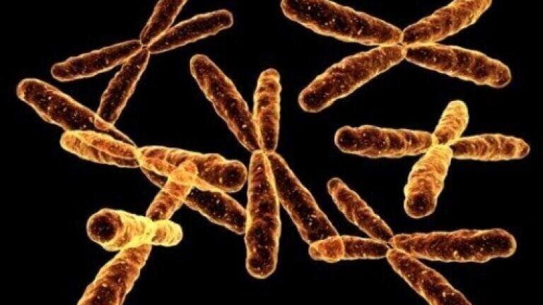 Newborn babies to be tested for rare diseases