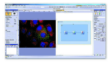 CellSens 1.11 - Discover a new level of simplicity