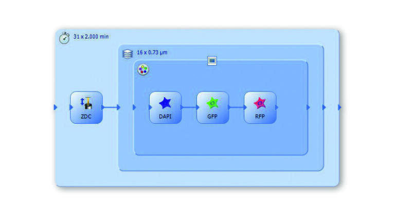 A sample GEM experiment schematic, Time-lapse of a 3 channel z-stack, with focus drift compensation.