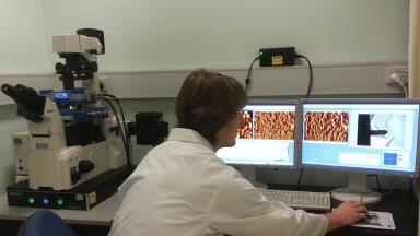 Versatile AFM System used for Force Measurements at Monash University
