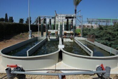 Innovative Algae-Based Technology for Wastewater Purification and Renewable Energy Production
