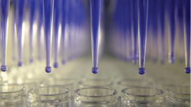 Consistent and Efficient Purification of NGS Library Reactions