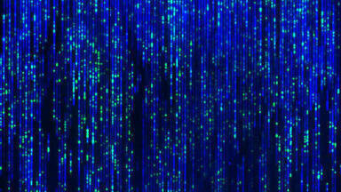 TGAC becomes a UK Centre of Excellence for ground-breaking Whole Genome Mapping Technology