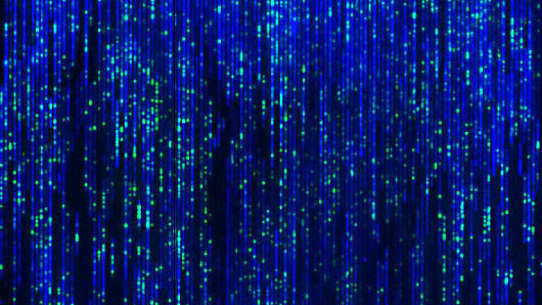 TGAC becomes a UK Centre of Excellence for ground-breaking Whole Genome Mapping Technology