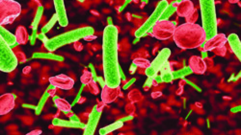 New Rapid Pathogen Species Diagnostic Test could help battle Antibiotic Resistance 