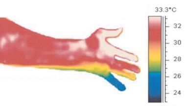 Exploring the Scientific Applications of Thermal Imaging