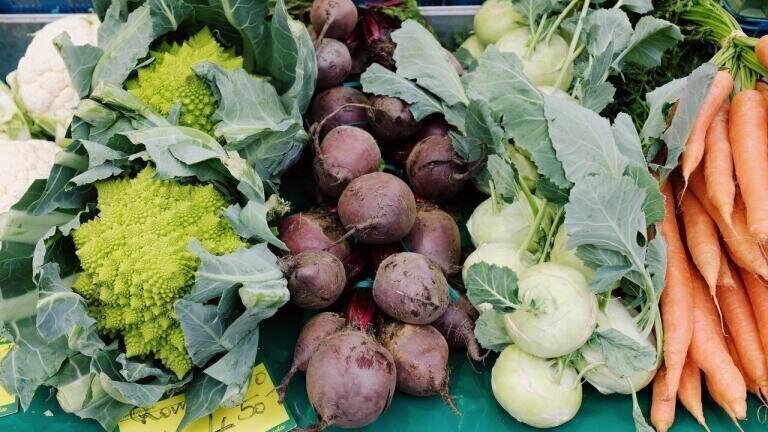 The Pros and Cons of Genetically Modified Organisms (GMOs)