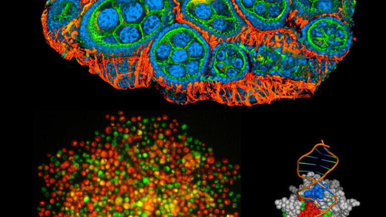 Dundee Iimaging Competition Inspires Arts and Science Discovery