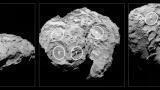 Choice for Philae touchdown site on Rosetta narrows.