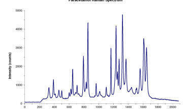 Raman Analysis of Pharmaceutical Ingredients