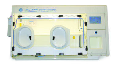 HEPA Filtration for Anaerobic Workstation