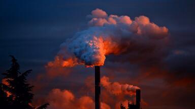 What are Persistent Organic Pollutants (POPs)?