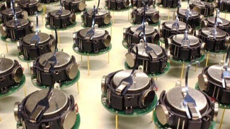 Can 1,000 Robots be Capable of Teamwork?