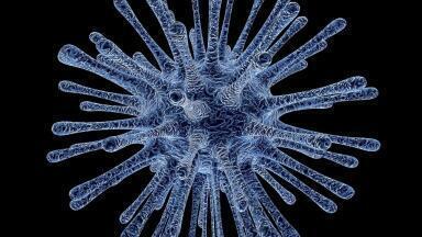 TGAC Leads Research to help Identify Animal-to-Human Transmitted Diseases 