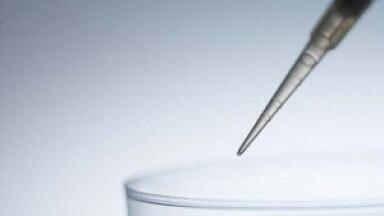 Eye Stem Cells Could Help Improve Sight