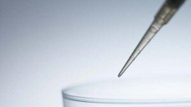 Eye Stem Cells Could Help Improve Sight
