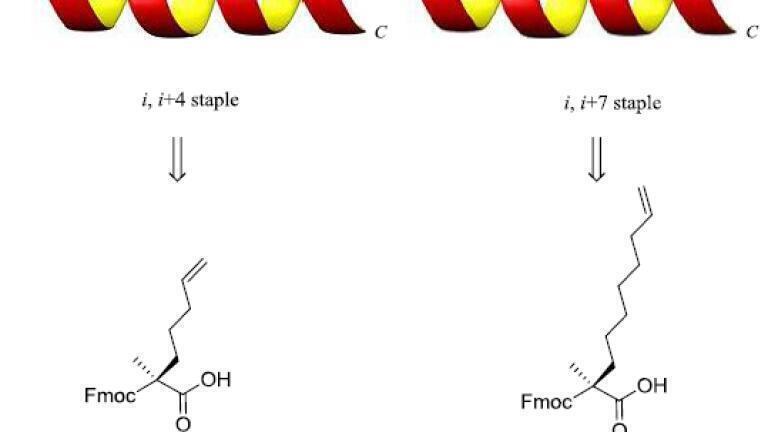 Figure 1: One of the images from the paper that represents the amino acids and proteins the Jamieson Group at the University of Leicester makes.
Image credits: University of Leicester
