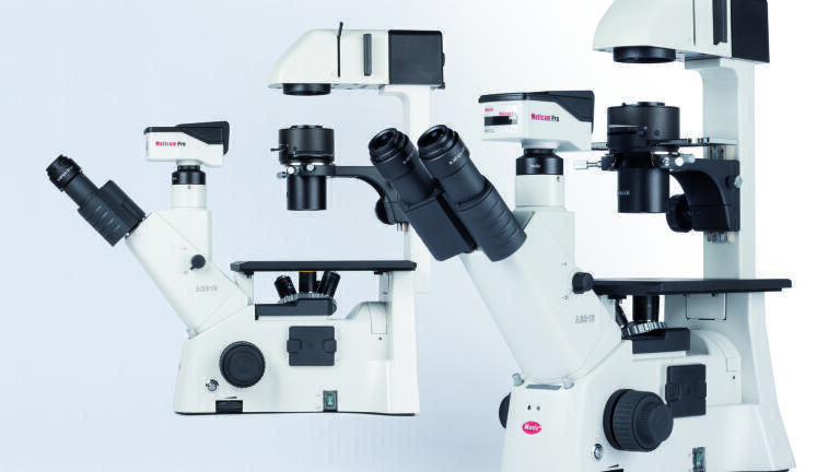 New Live Cell Microscope for Microbiology Launched