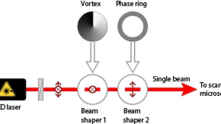 Abberior Instruments easy3D STED Design.