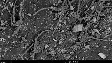 Fast and smart study of environmental pollution with Phenom ProX SEM