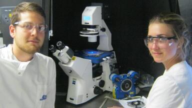 Report on the use of AFM and the CellHesion Module to Study Plant Cells at the University of Queensland