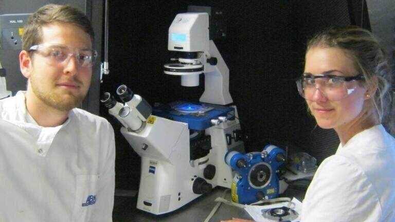 Report on the use of AFM and the CellHesion Module to Study Plant Cells at the University of Queensland