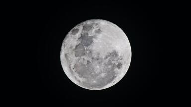 What Would You Bury in the Moon? Here's 10 Ideas from Labmate