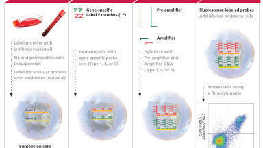 Launch of First Assay to Detect RNA and Protein Simultaneously in Millions of Single Cells 