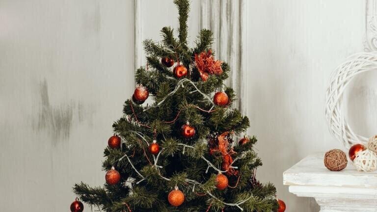 5 Incredible Christmas Tree Facts