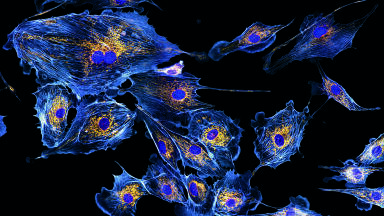 Incredible Images Launch International Year of Light 2015