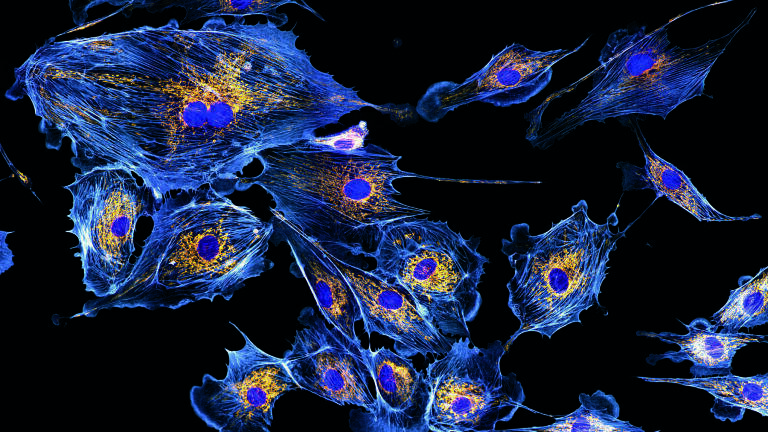 Incredible Images Launch International Year of Light 2015