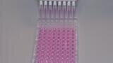 Newly Developed Bioactive Protein Surfaces for Cell Culture Growth