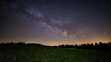 Was the Milky Way Home to Ancient Forms of Life?
