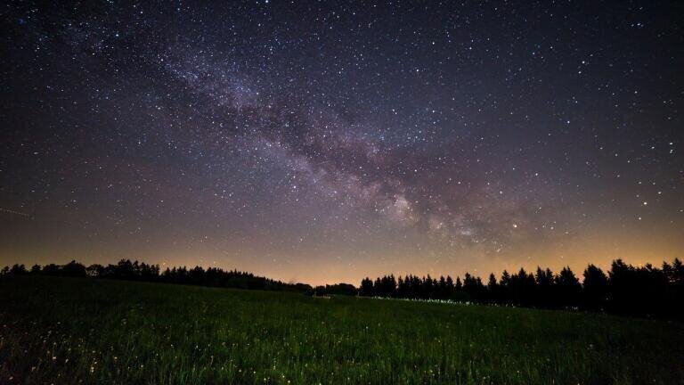 Was the Milky Way Home to Ancient Forms of Life?