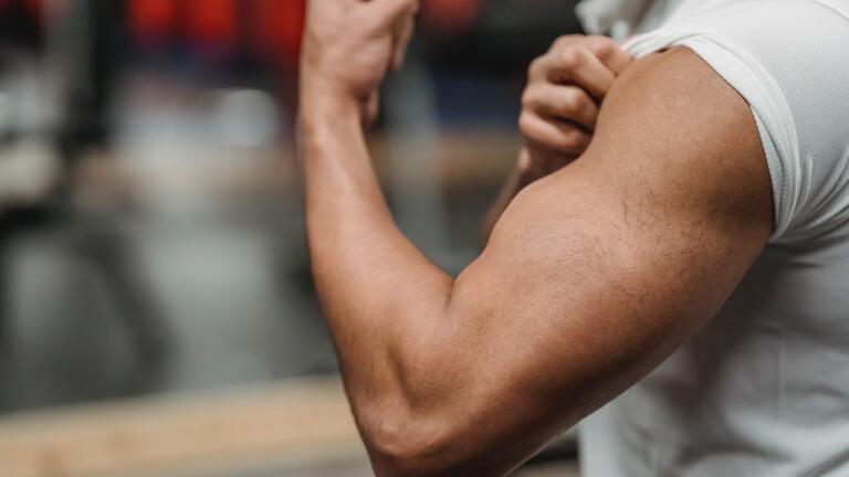 First Ever Human Muscle Tissue That Contracts Grown in Laboratory