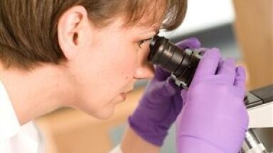 Scientists at York to map blood cancer DNA