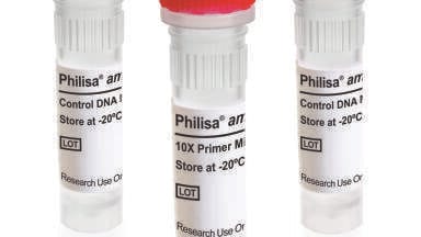 New ampC ID Kit Identifies Antibiotic Resistant Gram Negative Bacteria