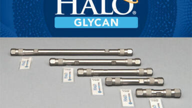 Separation of oligosaccharides, including protein-linked glycans and glycopeptides – new HALO Glycan HILIC Columns
