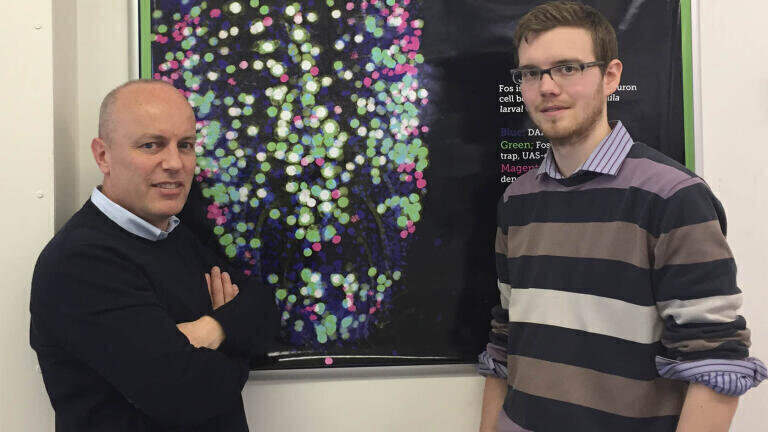 York Scientists Identify Steps in Dementia Progression