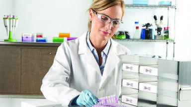 Smart and colourful lab additions