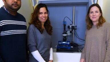 Report on the use of the NanoWizard® 3 AFM system at the Hebrew University of Jerusalem