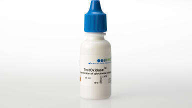 Testoxidase